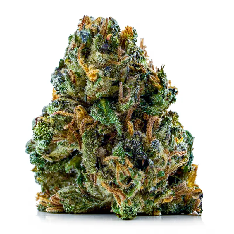 PINK STICKY ALIEN(BUDGET) on the QLC delivery menu