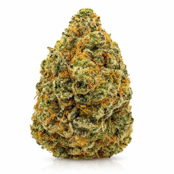 JACK HERRER on the QLC delivery menu